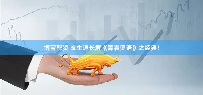 博宝配资 玄生道长解《青囊奥语》之经典！