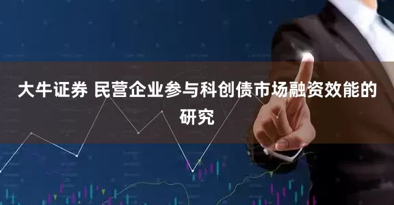 大牛证券 民营企业参与科创债市场融资效能的研究